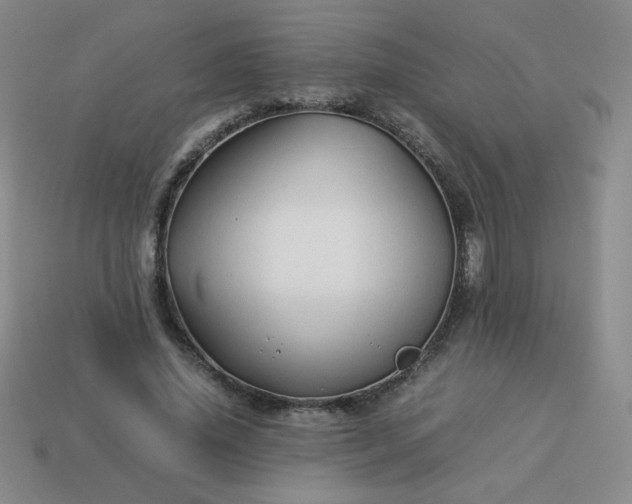 X0000114150636200910221547