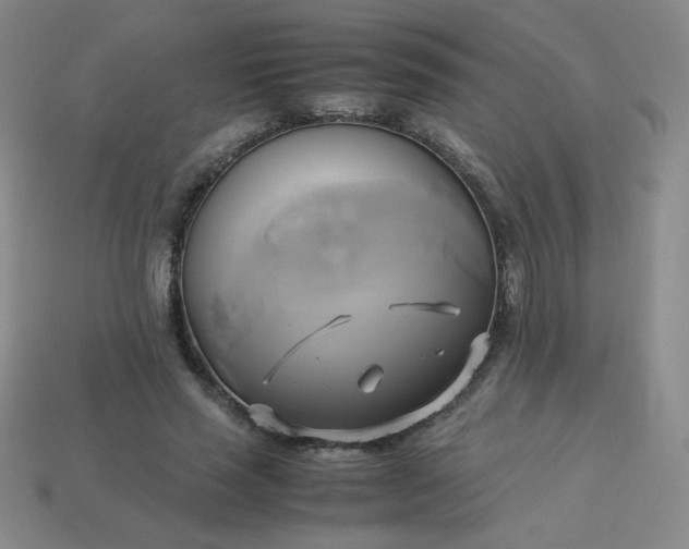 X0000114150637200910221547