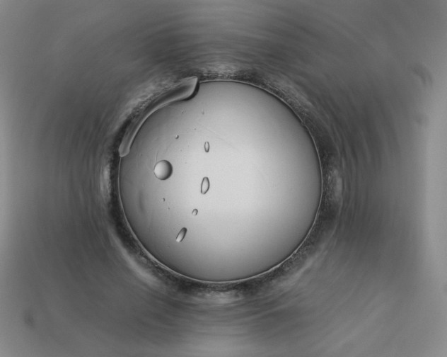 X0000114150638200910221547