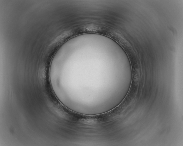 X0000114150639200910221547