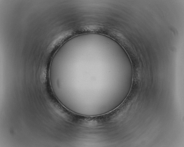 X0000114150640200910221547