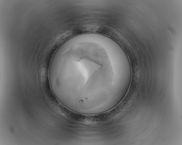 X0000114150641200910221547