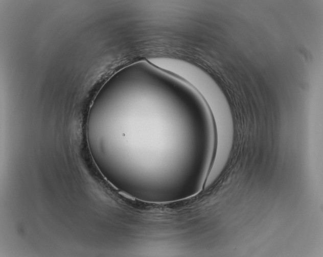 X0000114150642200910221547