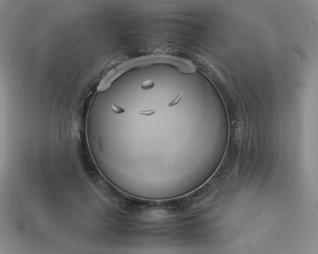 X0000114150643200910221547