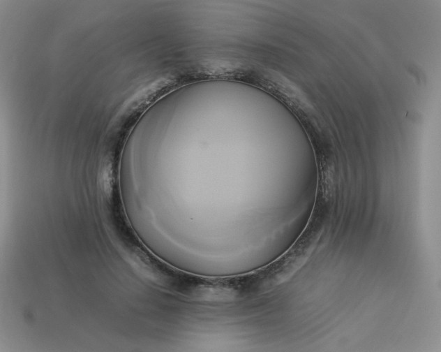 X0000114150644200910221547