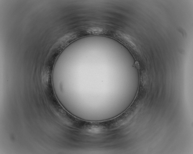 X0000114150645200910221547