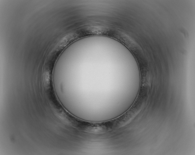 X0000114150646200910221547