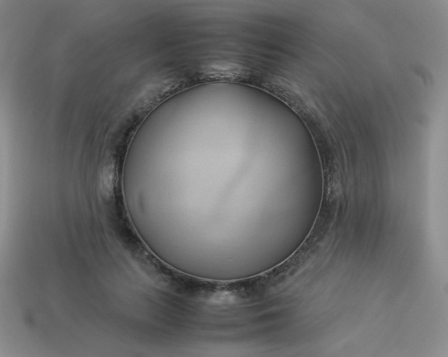 X0000114150647200910221547