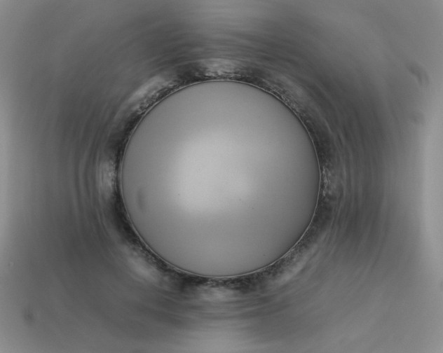 X0000114150648200910221547