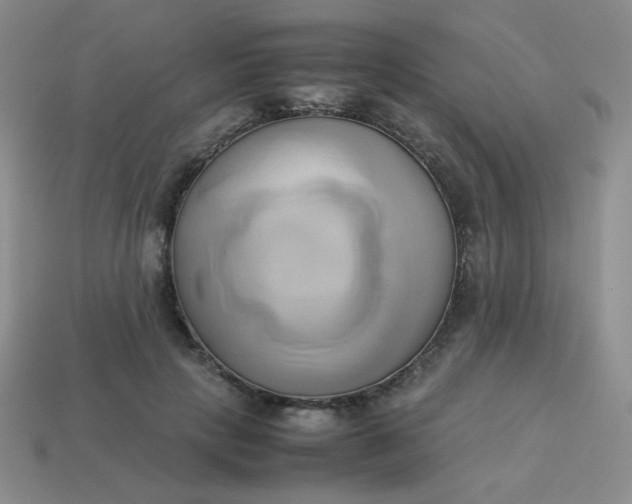 X0000114150649200910221547