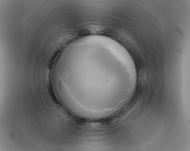 X0000114150650200910221547