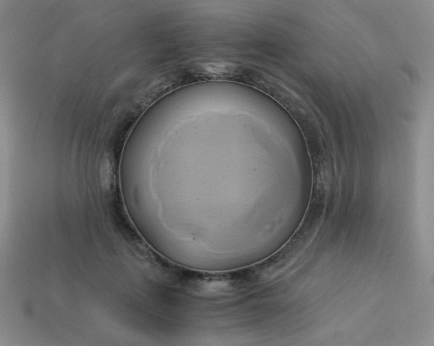 X0000114150651200910221547