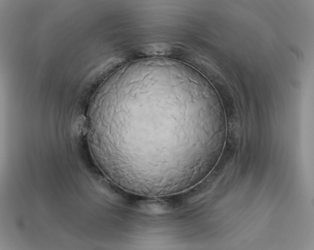 X0000114150652200910221547