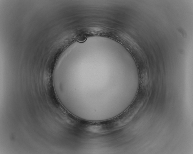 X0000114150653200910221547