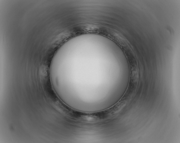 X0000114150654200910221547