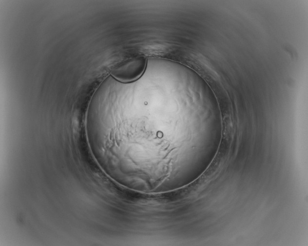 X0000114150655200910221547