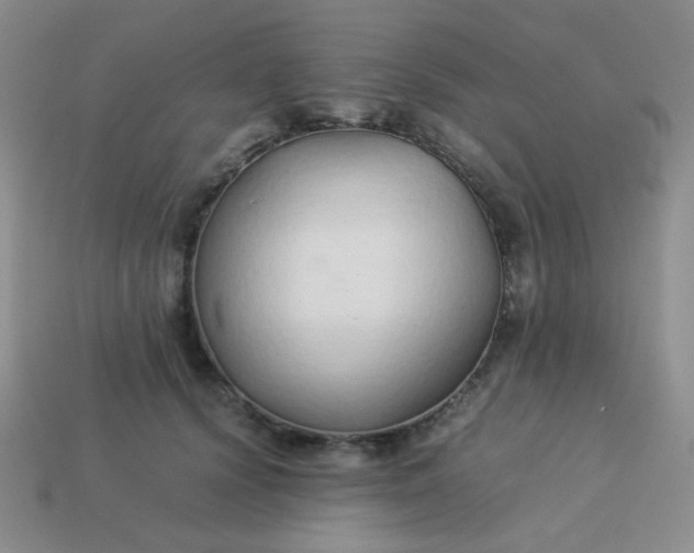 X0000114150656200910221547