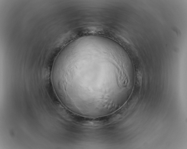 X0000114150657200910221547