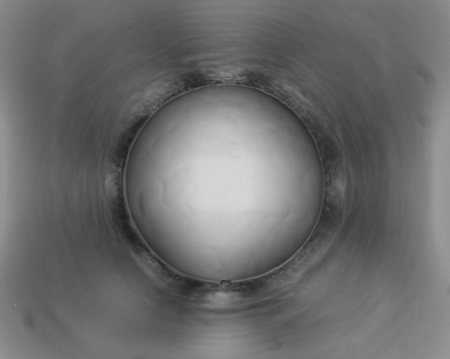 X0000114150658200910221547