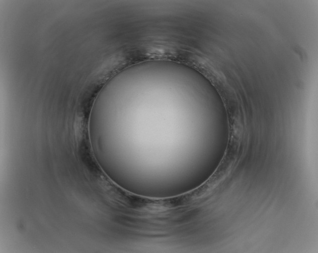 X0000114150659200910221547