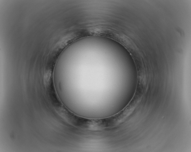 X0000114150660200910221547