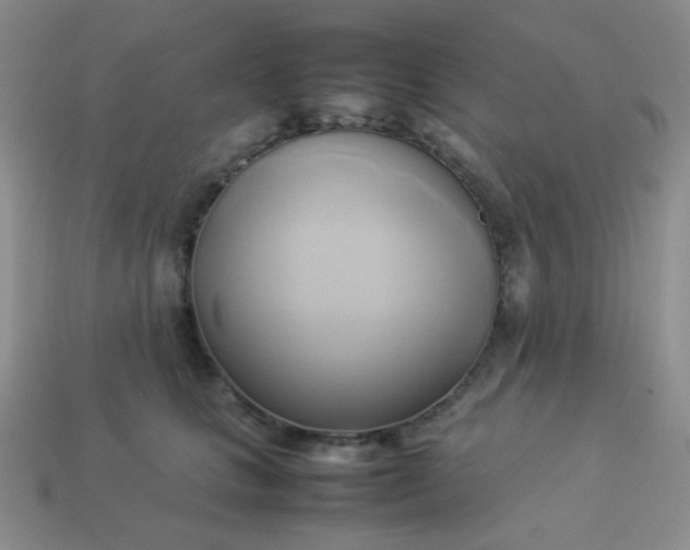 X0000114150661200910221547