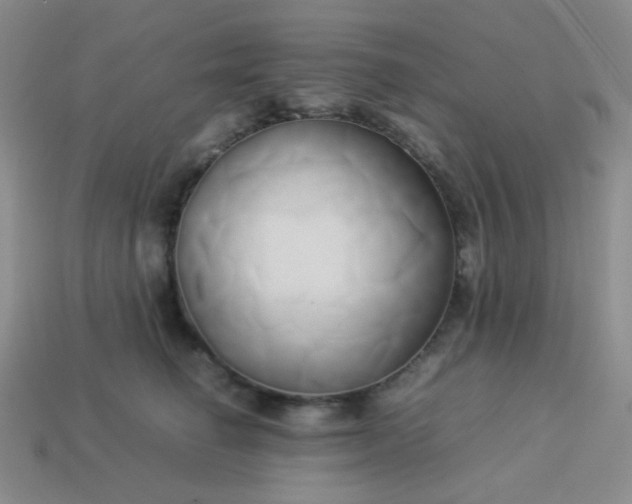 X0000114150662200910221548