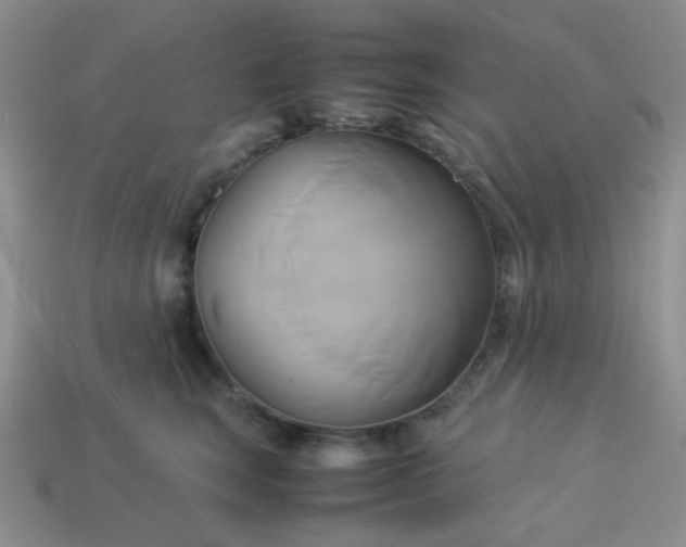 X0000114150663200910221548