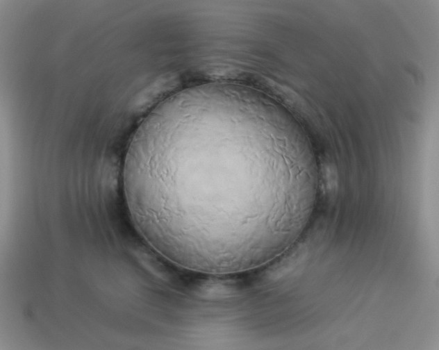 X0000114150664200910221548