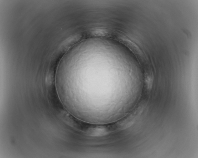 X0000114150665200910221548