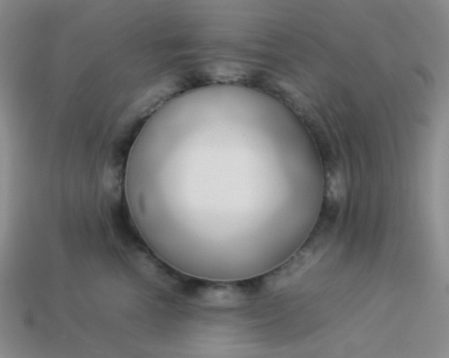 X0000114150666200910221548