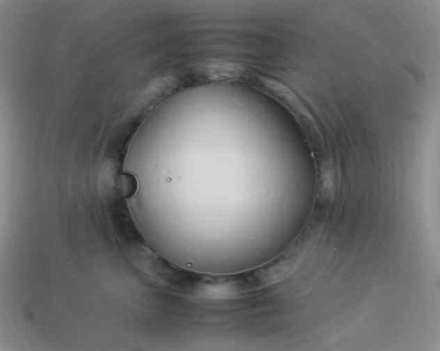 X0000114150667200910221548