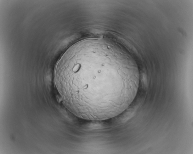 X0000114150668200910221548