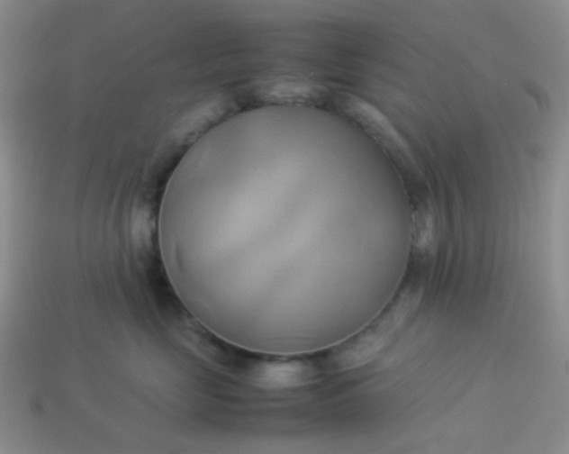 X0000114150669200910221548