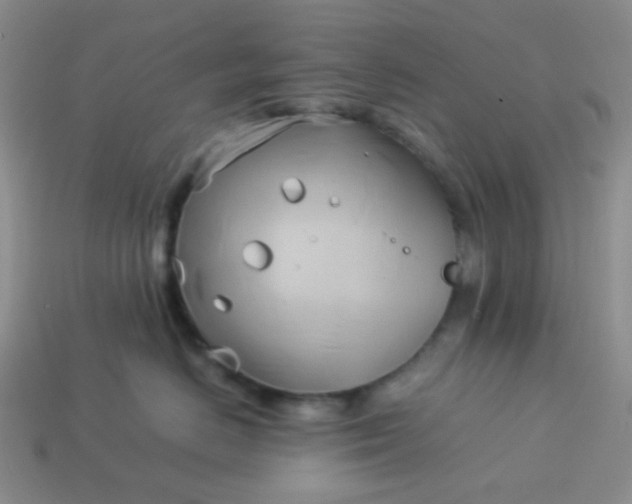 X0000114150670200910221548