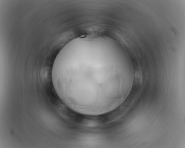 X0000114150671200910221548