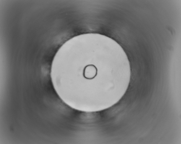 X0000114150672200910221548