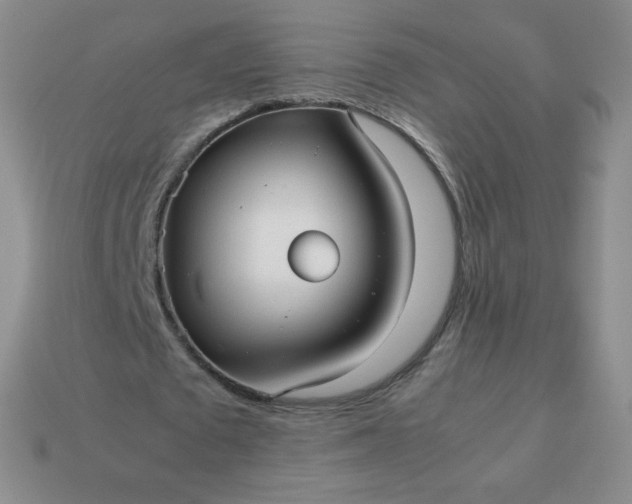 X0000114150673200910221547