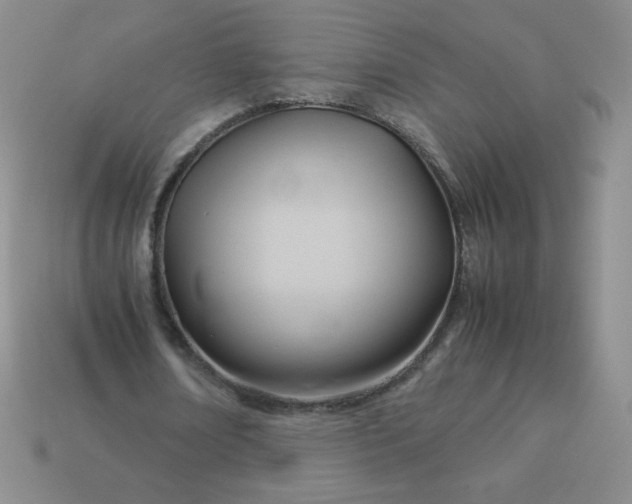 X0000114150674200910221547