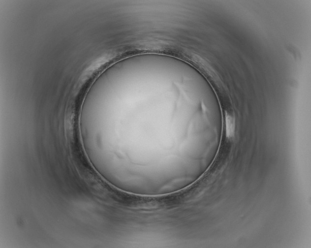 X0000114150675200910221547