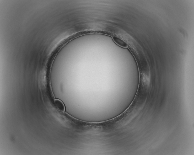 X0000114150676200910221547