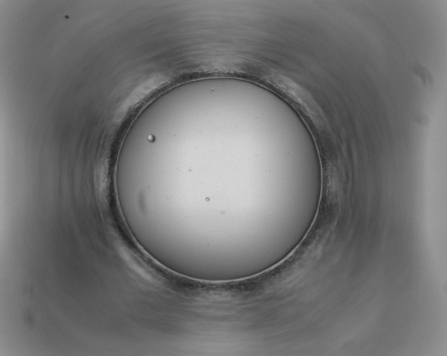 X0000114150677200910221547