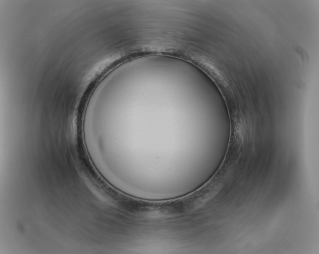 X0000114150678200910221547