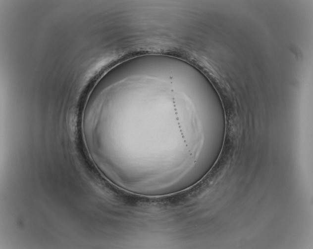 X0000114150679200910221547