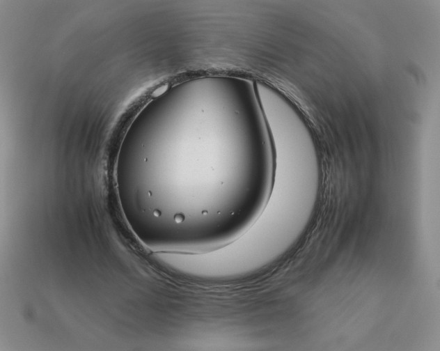 X0000114150680200910221547