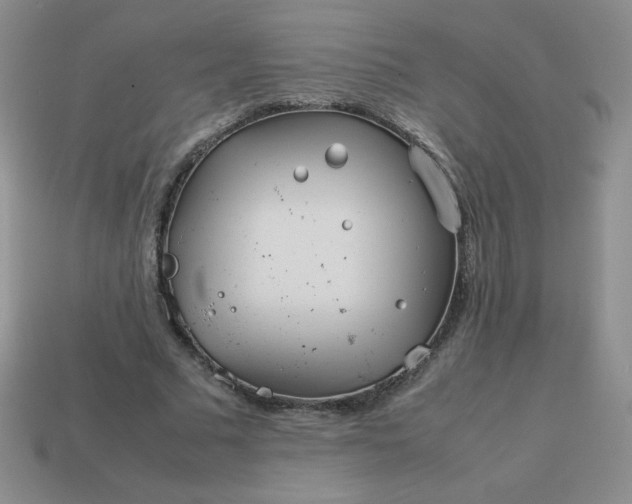 X0000114150681200910221547