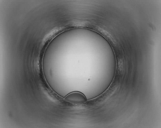 X0000114150682200910221547