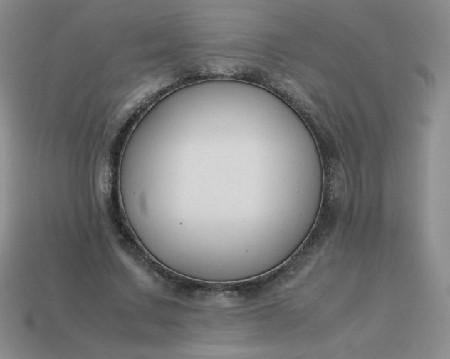 X0000114150683200910221547