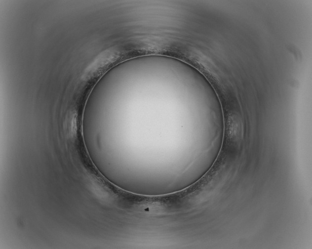 X0000114150685200910221547