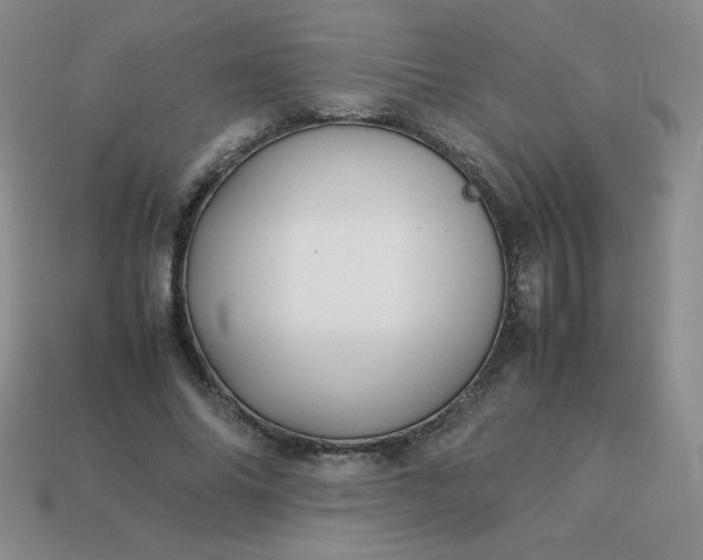 X0000114150686200910221547